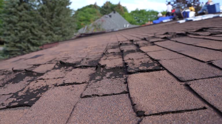 Best Metal Roofing Installation  in Franklinville, NC