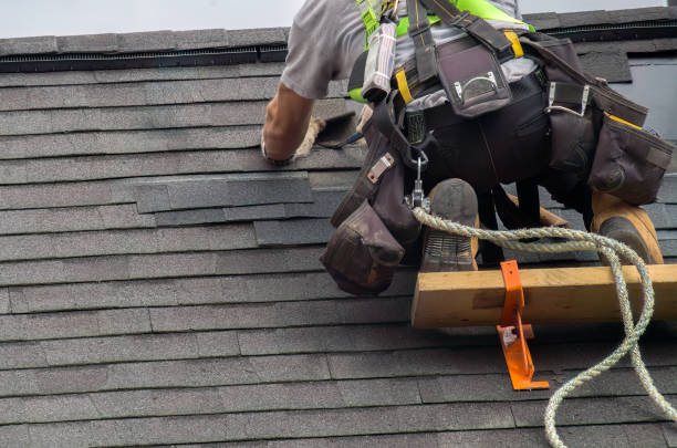 Best Storm Damage Roof Repair  in Franklinville, NC