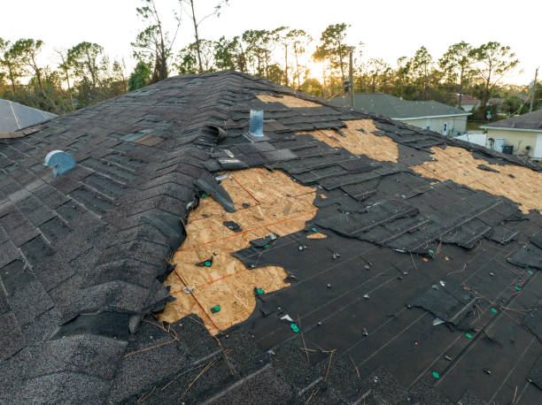 Best Roofing for New Construction  in Franklinville, NC